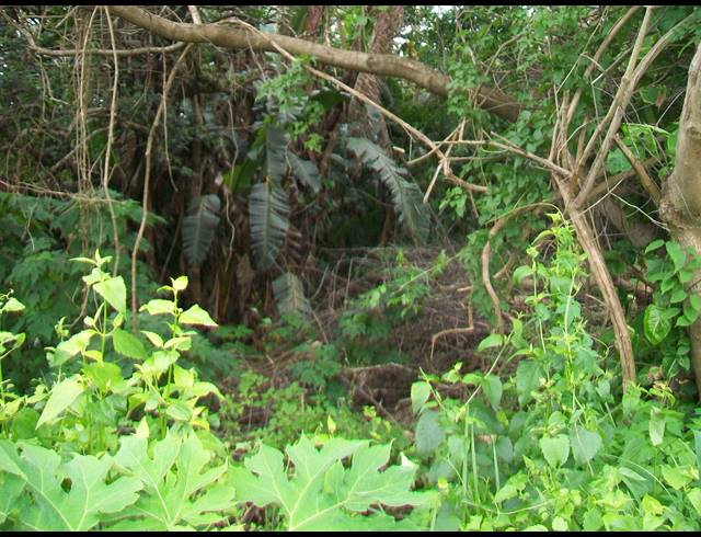1,682M² VACANT LAND FOR SALE IN PALM BEACH